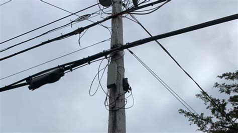 black mesh box on electric poles|strange boxes on utility poles.